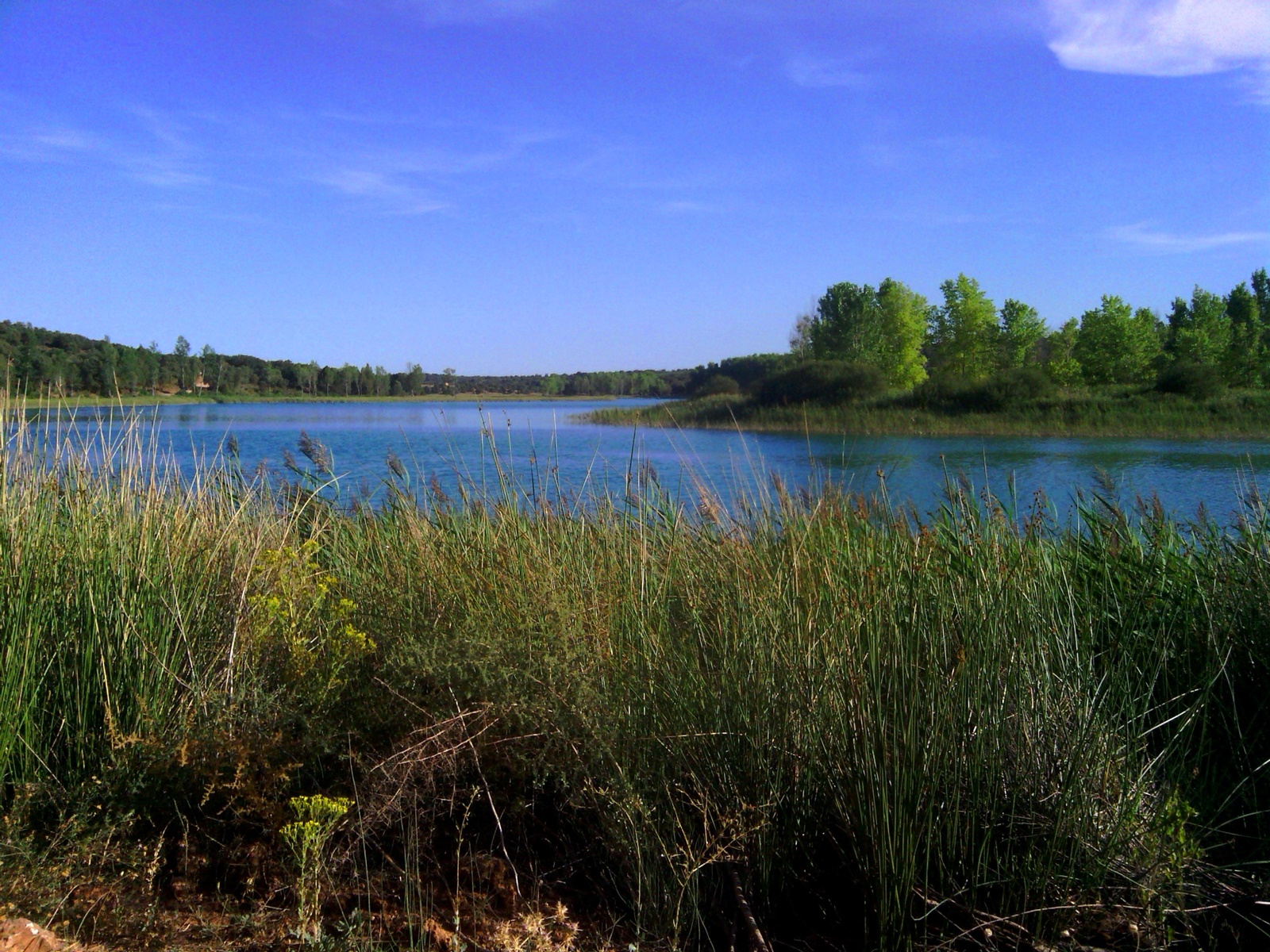 Laguna Conceja y río Pinilla, en Ruidera