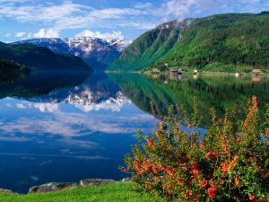 Hacia las puertas del Valhalla. Noruega y sus fiordos