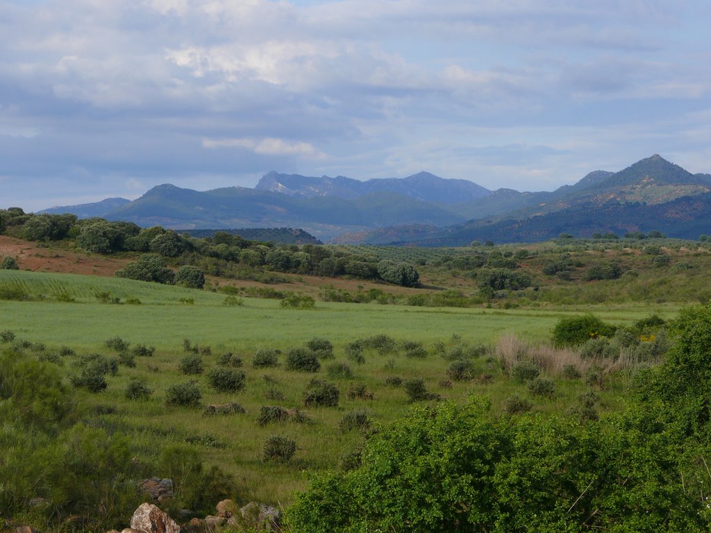 Vista de Sierra Morena desde los Campos de Montiel. Autor, Rufino Jiménez