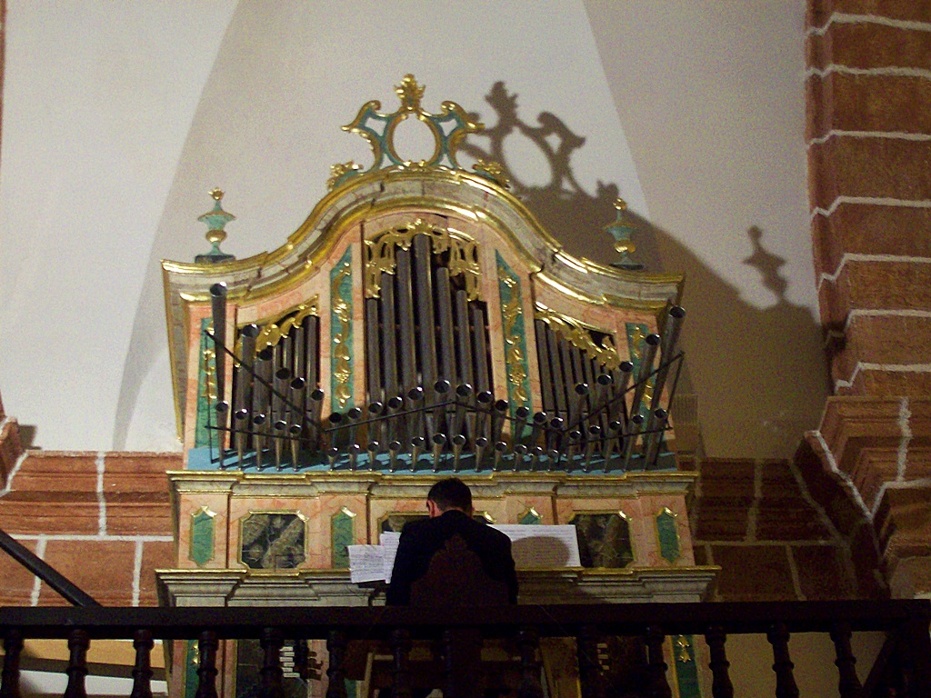 Concierto de órgano en Terrinches. Autor, Pedro Castellanos
