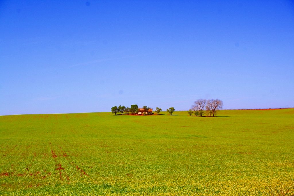Primavera en el Campo de Montiel Ecoturismo y rutas de naturaleza
