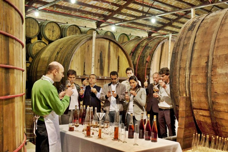 ¿Eres de Brandy o de Cognac? - sabersabor.es - Enoturismo en Tomelloso