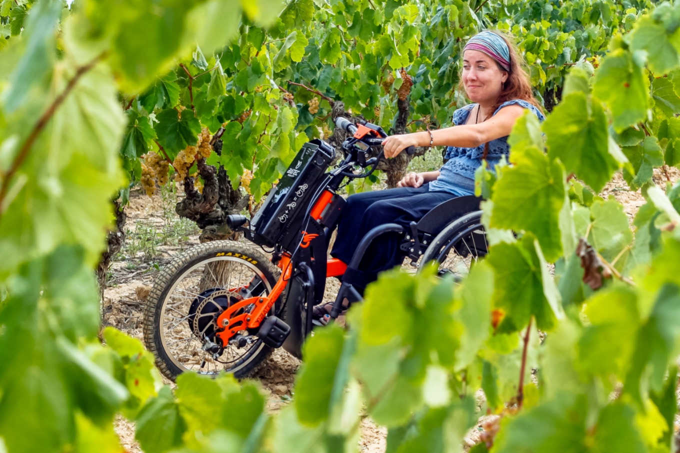 enoturismo accesible silla de ruedas Castilla La Mancha Spain wine bodega vino