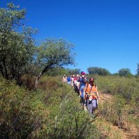 Entre Templarios y el Castillo de Montizón senderismo interpretativo turismo familiar Campo de Montiel