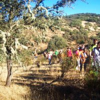 ruta castillo Montizón Venta Nueva Senderismo ecoturismo Saber sabor