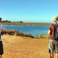 Birdwatching en La Mancha