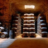 Bodegas verum cueva de crianza de holandas y vino