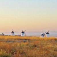 Visita guiada Campo de Criptana