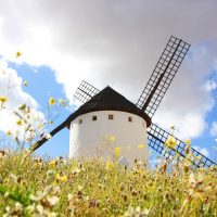 Visita guiada Campo de Criptana