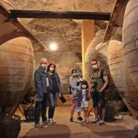 Visita a antigua cueva bodega de Tomelloso