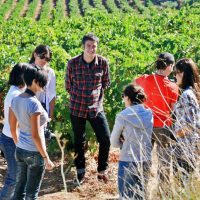 Enoturismo Turismo Enologico en Castilla La Mancha