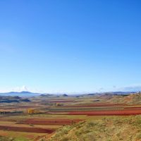Campo de Montiel