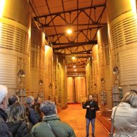 Ruta del Vino en Tomelloso