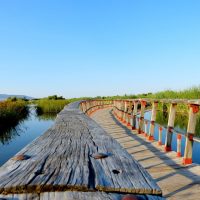 Tablas de Daimiel National