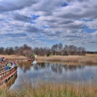 Tablas de Daimiel National Park Ecoturismo