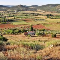 Villanueva de la Fuente Mentesa Oretana