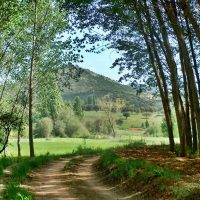 Villanueva de la Fuente Mentesa Oretana