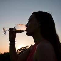 Ruta del Vino de La Mancha