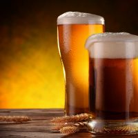 Visita a fabrica de cerveza