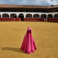 Visita guiada Almaden y Parque Minero