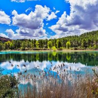 Visita guiada Lagunas de Ruidera