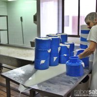 queso manchego visita a finca y queseria