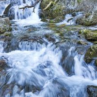 rio mundo riopar