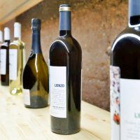 vino virgen viñas